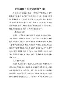 大学副校长年度述职报告(13)