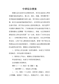 中班综合教案