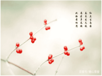 灯如红豆-初中语文中考阅读