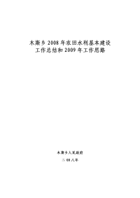 2008农田水利思路