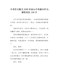 中考作文散文20XX年凉山中考满分作文：感悟美好250字.docx