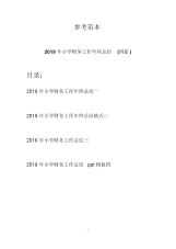 2019年小学财务工作年终总结(四篇).docx