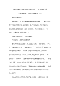 小学生六年级感恩医生满分作文800字最新3篇.doc