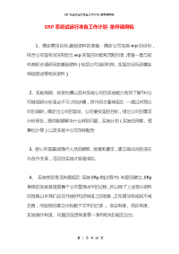 ERP系统试运行准备工作计划