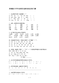 苏教版小学毕业班汉语拼音综合练习题