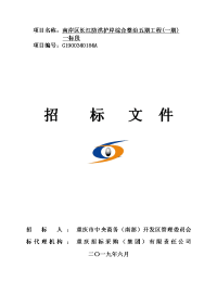 南岸区长江防洪护岸综合整治五期工程（一期）一标段招标文件