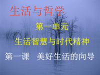 《哲学类生活与哲学》PPT课件