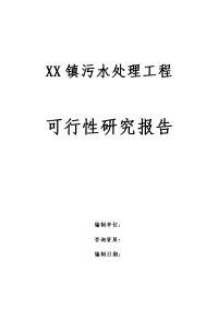 某镇污水处理工程项目可行性实施计划书