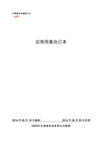 生物质发电有限公司事故应急预案方案大全.doc