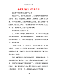 中考满分作文300字3篇