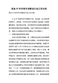 某县xx年环保专项整治行动工作总结