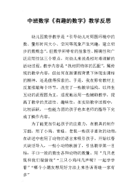 中班数学《有趣的数字》教学反思