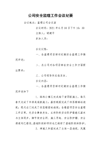 公司安全监理工作会议纪要