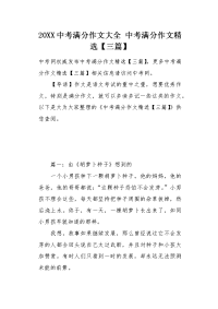 中考满分作文精选.docx