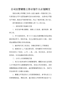 公司主管销售工作计划个人计划例文