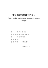 大学毕业论文---重金属废水处理工艺设计