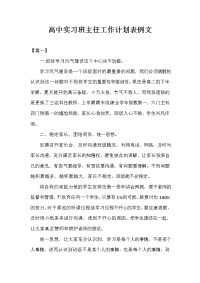 高中实习班主任工作计划表例文.doc