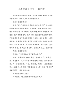 小升初满分作文 ：我们班.docx