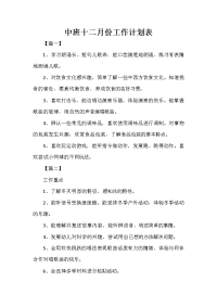 中班十二月份工作计划表.doc