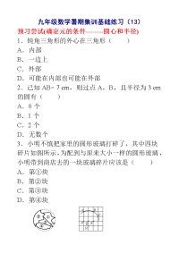 初中数学复习 弯道超车练习913