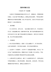 教师研修计划