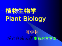 植物生物学课件