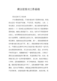 班主任实习工作总结