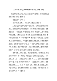 工作计划总结_2663销售计划总结,总结 总结