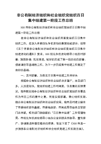 非公有制经济组织和社会组织党组织百日集中组建第一阶段工作总结