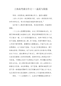 上海高考满分作文――温柔与倔强.docx