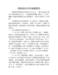 档案局长年终述职报告.doc