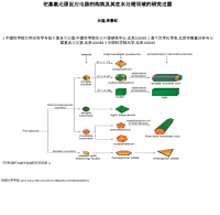 钯基氧还原反应电极构筑和其在水处理领域研究进展