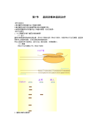 生物：1.2《基因诊断与基因治疗》学案（新人教版选修2）