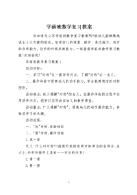 学前班数学复习教案