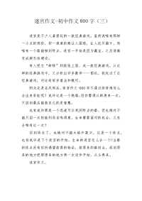 迷宫作文-初中作文800字（三）