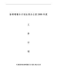 2009年计划生育工作计划