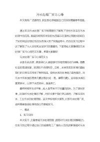 污水处理厂实习心得x