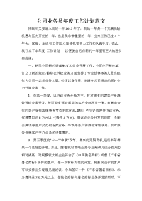 业务员工作计划 业务员工作计划集锦 公司业务员年度工作计划范文