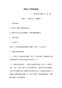 郑楼小学禁毒教案