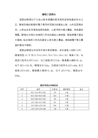 隧道工程简介.doc