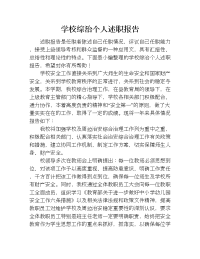 学校综治个人述职报告.doc