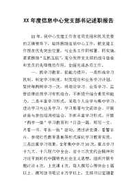 某年度信息中心党支部书记述职报告