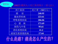 高一生物细胞的癌变ppt培训课件