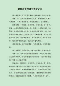 宜昌市中考满分作文之二.docx