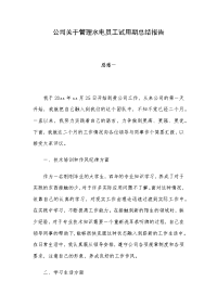 公司关于管理水电员工试用期总结报告.docx