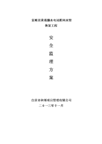 安全监理方案(范本)