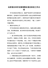 经委落实科学发展观整改落实阶段工作总结