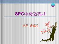 SPC统计学中级教程