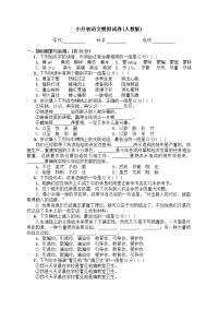 小升初语文试卷(人教版)