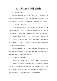 实习班主任工作计划表格